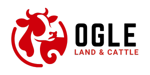 Ogle Land & Cattle Loading...
